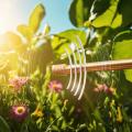 Vibrations des diapasons dans la nature